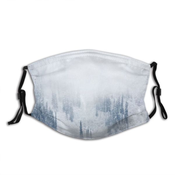 yanfind Ice Columbia Frost Landscape Frozen Tree Freshness Scene Snow Forest Fir Sky Dust Washable Reusable Filter and Reusable Mouth Warm Windproof Cotton Face