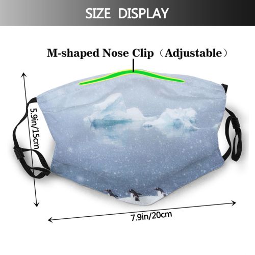 yanfind Ice Penguin Globe Polar Snow Wildlife Antarctica Scenics Formation Travel Sea Adventure Dust Washable Reusable Filter and Reusable Mouth Warm Windproof Cotton Face