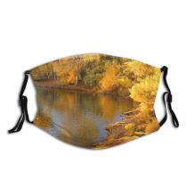 yanfind Cottonwood Natural Autumn Landscape Reflection Fall Sky Leaf Pond Tree Tree Bank Dust Washable Reusable Filter and Reusable Mouth Warm Windproof Cotton Face