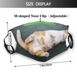 yanfind Chill Apartment College Teacher Fur Cat Cute Write Slate Cheerful Ginger Blackboard Dust Washable Reusable Filter and Reusable Mouth Warm Windproof Cotton Face