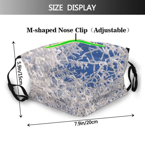 yanfind Winter Texture Frozen Frost Freeze Snowy Sky Nice Snowflake Winter Sun Branch Dust Washable Reusable Filter and Reusable Mouth Warm Windproof Cotton Face