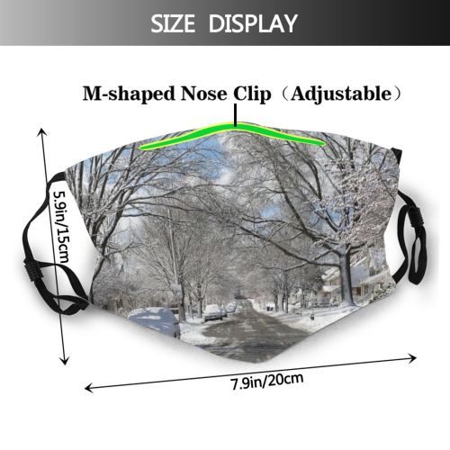 yanfind Ice Atmospheric Frost Dramatic Mood Arctic Outer Frozen Powder District Bare Tree Dust Washable Reusable Filter and Reusable Mouth Warm Windproof Cotton Face