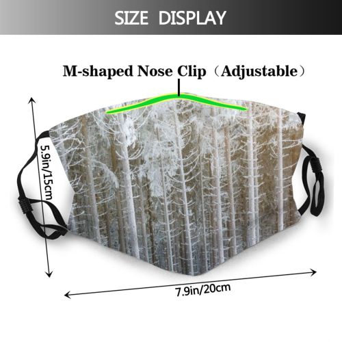 yanfind Ice Frost Landscape Coniferous Frozen Tree Snow Forest Sweden Boreal Spruce Temperature Dust Washable Reusable Filter and Reusable Mouth Warm Windproof Cotton Face