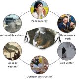 yanfind Vertebrate Ground Squirrel Fox Squirrel Nuts Grey Whiskers Rodent Squirrels Snout Wildlife Dust Washable Reusable Filter and Reusable Mouth Warm Windproof Cotton Face