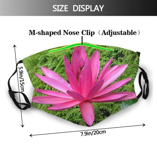 yanfind Plant Aquatic Plant Terrestrial Flower Flowers Flowering Botany Lily Family Petal Lotus Dust Washable Reusable Filter and Reusable Mouth Warm Windproof Cotton Face