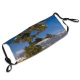 yanfind Winter Hill Scenery Snowy Sky United Winter Cliffs Woody Wilderness Colorado Mountain Dust Washable Reusable Filter and Reusable Mouth Warm Windproof Cotton Face