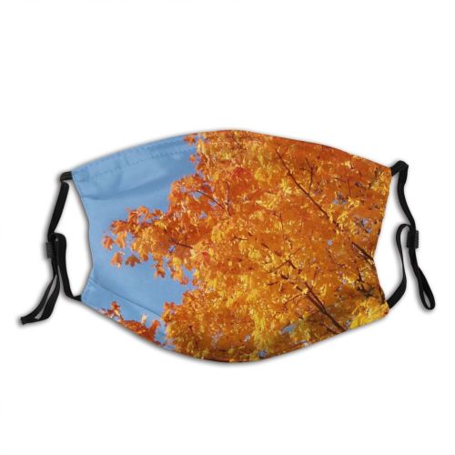 yanfind Maple Autumn Woody Sky Plant Fall Branch Wood Flowering Leaf Tree Tree Dust Washable Reusable Filter and Reusable Mouth Warm Windproof Cotton Face