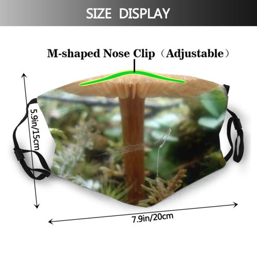 yanfind Plant Edible Penny Agaricaceae Fungus Agaricomycetes Forest Mushroom Mushroom Damp Terrestrial Botany Dust Washable Reusable Filter and Reusable Mouth Warm Windproof Cotton Face