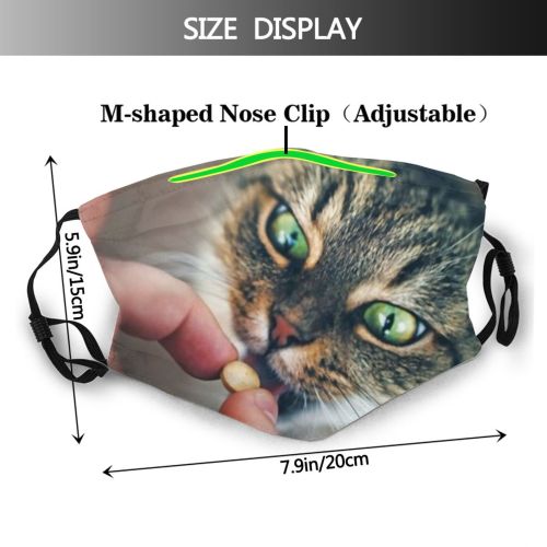 yanfind Attractive Lovely Fur Stripe Wool Cat Kitty Cute Wonder Pill Adorable Catus Dust Washable Reusable Filter and Reusable Mouth Warm Windproof Cotton Face