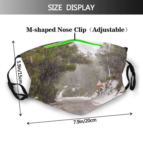 yanfind Ice Frost Landscape Frozen Journey Pursuit Tree Scene Rural Snow Forest Fir Dust Washable Reusable Filter and Reusable Mouth Warm Windproof Cotton Face