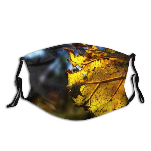 yanfind Winter Maple Autumn Sky Branch Wood Leaf Leaf Tree Dark Light Autumn Dust Washable Reusable Filter and Reusable Mouth Warm Windproof Cotton Face