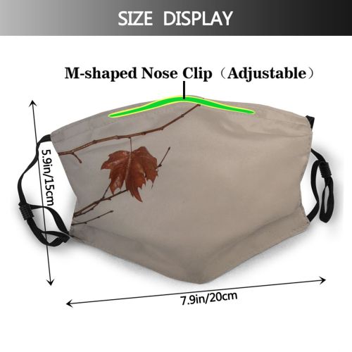yanfind Winter Maple Stem Atmospheric Sad Woody Sky Plant Branch Leaf Leaf Twig Dust Washable Reusable Filter and Reusable Mouth Warm Windproof Cotton Face