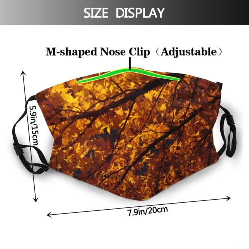 yanfind Leaves Deciduous Leaf Trees Twig Tree Branch Plant Autumn Autumn Plants Woody Dust Washable Reusable Filter and Reusable Mouth Warm Windproof Cotton Face