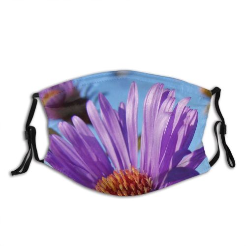yanfind Flowering Flower Texture Violet Coloured Sky Purple Plant Plant Petal Autumn Flower Dust Washable Reusable Filter and Reusable Mouth Warm Windproof Cotton Face
