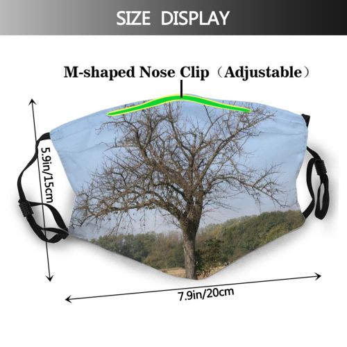 yanfind Family Landscape Field Sky Plant Savanna Tree Tree Plant Branch Grass Natural Dust Washable Reusable Filter and Reusable Mouth Warm Windproof Cotton Face