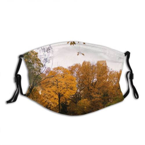 yanfind Idyllic Autumn Foliage Woodland Daylight Branch Calm Flora Park Forest Daytime Tranquil Dust Washable Reusable Filter and Reusable Mouth Warm Windproof Cotton Face