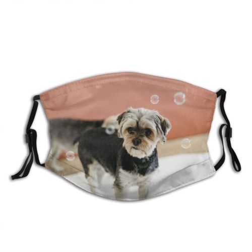 yanfind Idyllic Transparent Dog Dreamy Calm Friendly Yorkshire Cute Chordate Attentive Tranquil Bubble Dust Washable Reusable Filter and Reusable Mouth Warm Windproof Cotton Face
