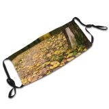 yanfind Natural Autumn Leaves Landscape Leaf Forest Leaf Tree Poland Trunk Autumn Forest Dust Washable Reusable Filter and Reusable Mouth Warm Windproof Cotton Face