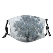 yanfind Winter Mist Morning Natural Atmospheric Woody Fog Landscape Sky Ice Tree Tree Dust Washable Reusable Filter and Reusable Mouth Warm Windproof Cotton Face