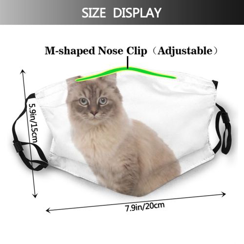 yanfind Isolated Fur Little Cat Kitty Cute Turkish Grey Hide Seated Pet Eyes Dust Washable Reusable Filter and Reusable Mouth Warm Windproof Cotton Face