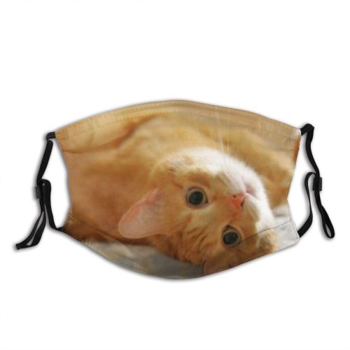 yanfind Comfort Interested Lovely Fur Ear Cat Kitty Cute Warm Cozy Comfy Interior Dust Washable Reusable Filter and Reusable Mouth Warm Windproof Cotton Face
