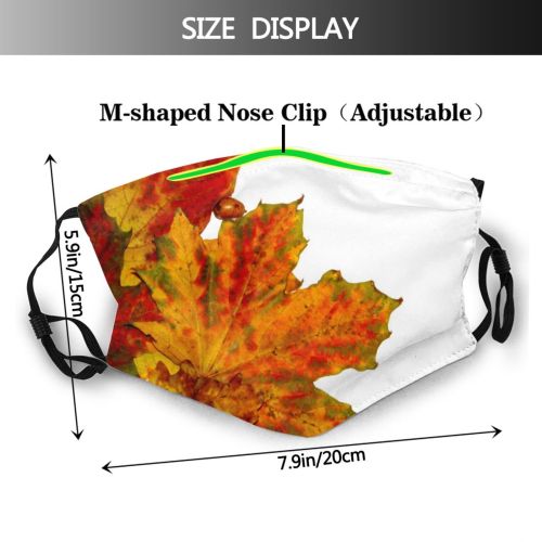 yanfind Maple Autumn Woody Leaves Maple Plant Fall Decoration Leaf Leaf Tree Autumn Dust Washable Reusable Filter and Reusable Mouth Warm Windproof Cotton Face