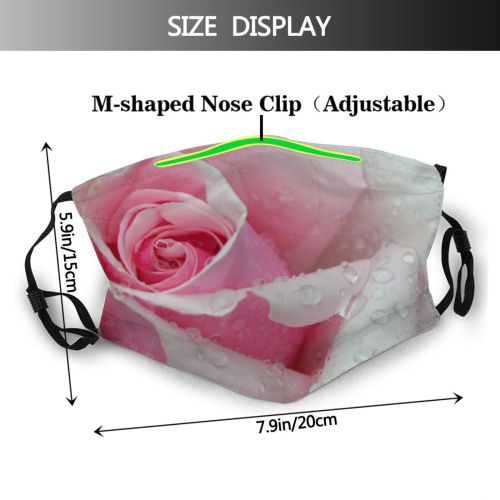 yanfind Ireland Flower Garden Flower Hybrid Rosy Family Roses Petal Rose Rose Rain Dust Washable Reusable Filter and Reusable Mouth Warm Windproof Cotton Face