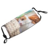 yanfind Garden Wicker Fur Young Tiles Striped Cat Kitty Cute Shorthair Big Basket Dust Washable Reusable Filter and Reusable Mouth Warm Windproof Cotton Face