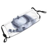 yanfind Attractive Isolated Artwork Cute Wildlife Fauna Raccoon Design Beautiful Pretty Art Watercolor Dust Washable Reusable Filter and Reusable Mouth Warm Windproof Cotton Face