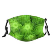 yanfind Lettuce Onions Salmon Vegetable Plant Island Cruciferous Cabbage Iceburg Leaf Savoy Vegetable Dust Washable Reusable Filter and Reusable Mouth Warm Windproof Cotton Face