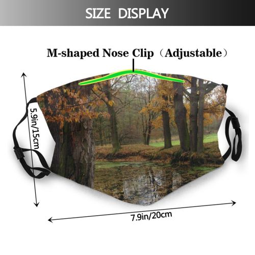 yanfind Natural Autumn Woody Landscape Wood Leaf Tree Tree Autumn Reflection Plant Woodland Dust Washable Reusable Filter and Reusable Mouth Warm Windproof Cotton Face