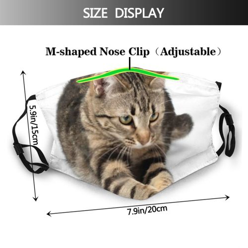 yanfind Isolated Lovely Young Little Cat Kitty Cute Striped Jump Adorable Active Purr Dust Washable Reusable Filter and Reusable Mouth Warm Windproof Cotton Face