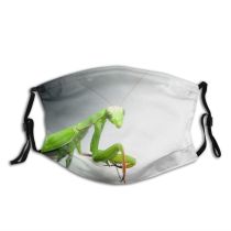 yanfind Grasshopper Mantis Insect Invertebrate Insect Mantis Oecanthidae Macro Cricket Insects Grasshoper Bugs Dust Washable Reusable Filter and Reusable Mouth Warm Windproof Cotton Face