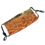 yanfind Path Natural Autumn Leaves Fallen Landscape Fall Wood Leaf Walk Forest Hardwood Dust Washable Reusable Filter and Reusable Mouth Warm Windproof Cotton Face