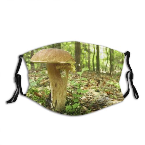 yanfind Plant Edible Penny Woods Agaricaceae Fungus Agaricomycetes Forest Mushroom Mushroom Undergrowth Terrestrial Dust Washable Reusable Filter and Reusable Mouth Warm Windproof Cotton Face