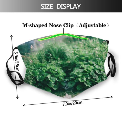 yanfind Idyllic Untouched Shore Coast Foliage Daylight Calm Park Flora Peace Wild Highland Dust Washable Reusable Filter and Reusable Mouth Warm Windproof Cotton Face