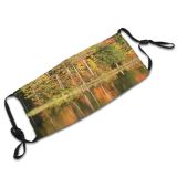yanfind Temperate Forest Landscape Reflection Leaf Fall Tree Broadleaf Forest Natural Autumn Autumn Dust Washable Reusable Filter and Reusable Mouth Warm Windproof Cotton Face