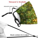 yanfind Temperate Forest Sunlight Vegetation Leaf Trees Plant Tree Broadleaf Plant Branch Autumn Dust Washable Reusable Filter and Reusable Mouth Warm Windproof Cotton Face