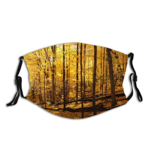 yanfind Temperate Tranquil Sky Natural Idyllic Beauty Sun Autumn Branches Happiness Leaves Landscape   Dust Washable Reusable Filter and Reusable Mouth Warm Windproof Cotton Face