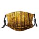 yanfind Temperate Tranquil Sky Natural Idyllic Beauty Sun Autumn Branches Happiness Leaves Landscape   Dust Washable Reusable Filter and Reusable Mouth Warm Windproof Cotton Face