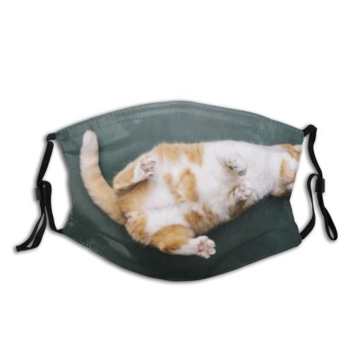 yanfind Chill Apartment College Teacher Fur Cat Cute Write Slate Cheerful Ginger Blackboard Dust Washable Reusable Filter and Reusable Mouth Warm Windproof Cotton Face
