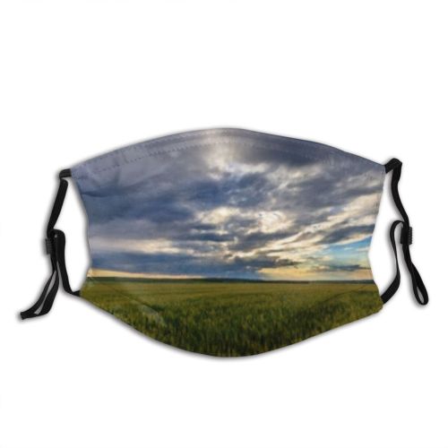yanfind Cereal Wheat Beautiful Meadow Season Field Rye Scene Sky Beam Fence Farm Dust Washable Reusable Filter and Reusable Mouth Warm Windproof Cotton Face
