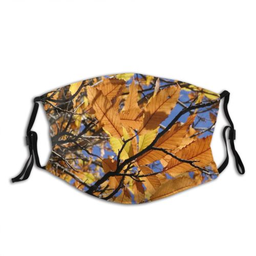 yanfind Deciduous Forest Hardwood Leaf Plant Twig Northern Tree Blades Tree Branch Plant Dust Washable Reusable Filter and Reusable Mouth Warm Windproof Cotton Face