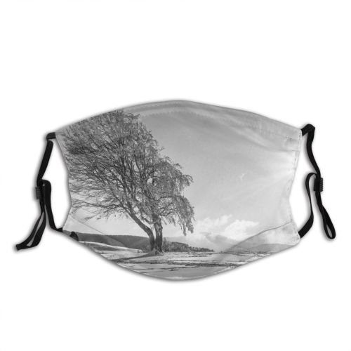 yanfind Ice Frost Frosty Clouds Frozen Scenery Snowcapped Sunbeam Mountains Sun Winter Tree Dust Washable Reusable Filter and Reusable Mouth Warm Windproof Cotton Face