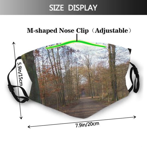 yanfind Trail Path Natural Autumn Woody Leaves Landscape Branch Wood Forest Leaf Tree Dust Washable Reusable Filter and Reusable Mouth Warm Windproof Cotton Face