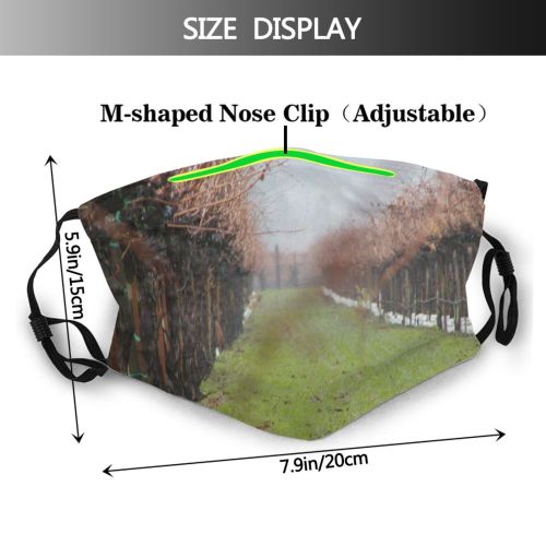 yanfind Family Napa Plant Spring Tree Valley Branch Grass Vineyard Morning Atmospheric Plant Dust Washable Reusable Filter and Reusable Mouth Warm Windproof Cotton Face