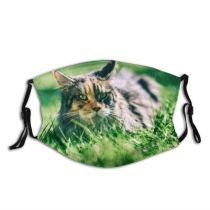 yanfind Lovely Young Cat Kitty Cute Satisfied Coon Meadow Puss Beautiful Ears Lawn Dust Washable Reusable Filter and Reusable Mouth Warm Windproof Cotton Face
