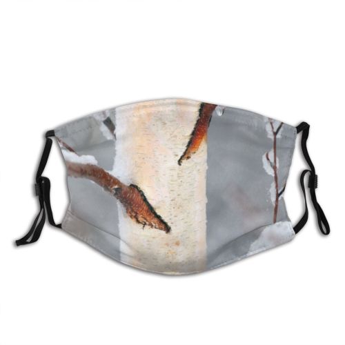 yanfind Winter Lake Landscape Tree Tree Ice Ice Frost Winter Natural Freezing Snow Dust Washable Reusable Filter and Reusable Mouth Warm Windproof Cotton Face