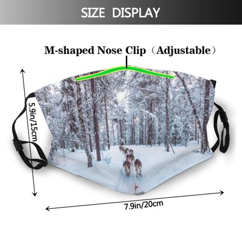 yanfind Ice Sport Sledding Sunset Arctic Landscape Finnish Lapland Scene Pursuit Polar Snow Dust Washable Reusable Filter and Reusable Mouth Warm Windproof Cotton Face