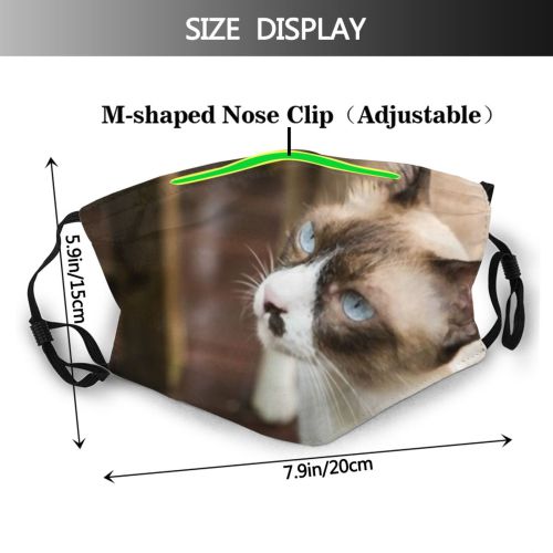 yanfind Garden Young Cat Kitty Cute Grumpy Posing Snowshoe Beautiful Pretty Pet Fluffy Dust Washable Reusable Filter and Reusable Mouth Warm Windproof Cotton Face